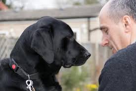 2023 People Awards winners announced