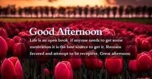 In the evening, the soothing breeze brings a cool smile on my face. 150 Best Good Afternoon Messages Sweetest Messages