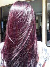 Mahogany Violet Hair Color Chart Burgundy Hair Violet