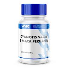 Image result for Cyanotis vaga