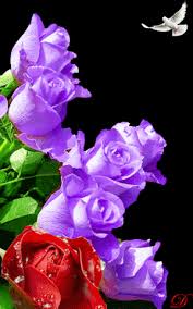 We did not find results for: Flowers Gif Gif By Majedbazadough201