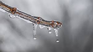 As temperaturas em curitiba chegarão ao zero grau. O Frio Esta Voltando Curitiba Tera Zero Grau Nos Proximos Dias 98fm Curitiba Sintonize 98 9