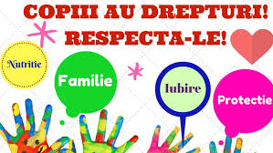 286 din 29 noiembrie 2018; Bogdana Grama