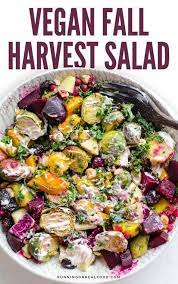 Fall Harvest Salad Recipe Harvest Salad Vegetarian Recipes Healthy Recipes