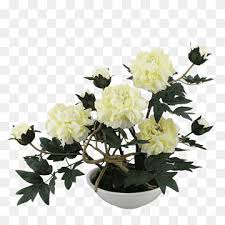 Jul 03, 2021 · using his charm and good humor, charlie was the plant manager and personnel director of reeves brothers, buena vista and rutherfordton, nc, burlington industries, wake forest, nc, and bernson silk mills, buena vista. Soft Loading Png Images Pngwing