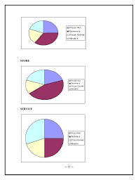 Project On Marketing Strategies Of Pizza Hut And Dominos