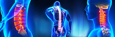 Orthopedic Consultation