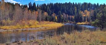 View photos, research land, search and filter more than 3 listings | land and farm Mccall Homes For Sale Build Idaho Official Idaho Real Estate Guide