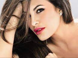Jacqueline Fernandez to be the face of Salman Khan's cricket team | Celebs  - Times of India Videos