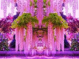 Kawachi Fuji Garden In Kitakyushu Japan Wisteria Garden Beautiful Flowers Purple Wisteria