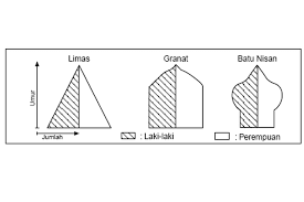 Angka kelahiran yang rendah karena kalangan mudanya banyak yang menunda untuk menikah atau memiliki anak, sebab mereka mementingkan karir dan karena biaya hidup di negara maju sangat tinggi, sehingga kalangan muda kesulitan secara ekonomi dalam membentuk keluarga. Piramida Penduduk Ekspansif Stasioner Dan Konstruktif Halaman All Kompas Com