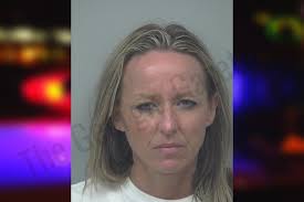 Amanda Herron — Gwinnett County Jail Bookings