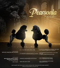 Image result for Pearsonia
