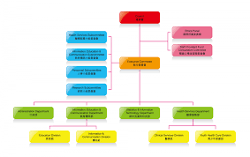 organization chart the family planning association of hong