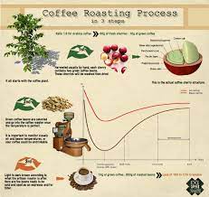 Italian roasted coffee beans roasting coffee transforms the chemical and physical properties of green of green coffee beans into roasted coffee coffee products. Coffee Roasting Process Infographic Coffee Roasting Coffee Roasting Process Coffee Process