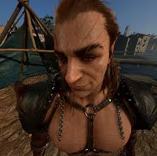 Baldur's Gate 3 modded run choice