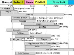 Blueberry Weed Control Late Spring And Summer Options Msu