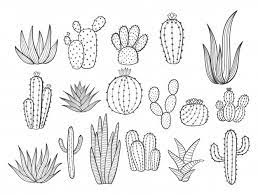 This listing is for one mini cactus cutout. Cactus Images Free Vectors Stock Photos Psd
