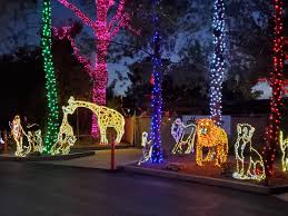 White xmas cactus is an excellent present, especially for a lady. Zoolights It S Amazing Christmas Lights At The Phoenix Zoo Phoenix With Kids