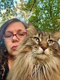 Please help bring my best friend home. He has been missing since the  evening of June 6th 2025. He is 12.5 years old and very skittish. He also  is losing his eye