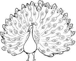 Family portrait black & white drawing. Drawing A Dancing Peacock Kalaalog Peacock Coloring Pages Peacock Drawing Drawings