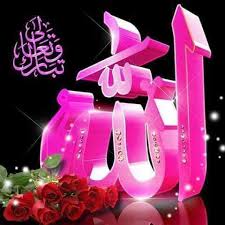Allah names wallpaper (version 1.0) is available for. Allah Name Dp For Whatsapp Facebook Twitter Instagram Profile Picture Allah Names Dp For Whatsapp Beautiful Flower Drawings