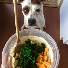 popeye paws pawpaw recipes dog food recipes cook fresh spinach