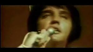 ELVIS Patch It Up [Fantastic Finish]