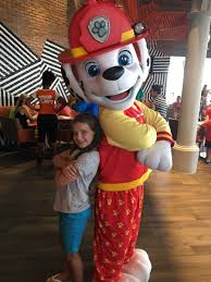 We did not find results for: Paw Patrol Nickelodeon Hotel Novocom Top