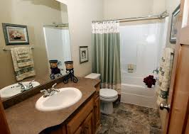 When decorating a bathroom, it's important to create a focal point. Home Architec Ideas Apartment Bathroom Design Ideas