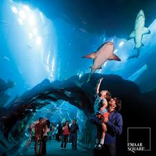 Emaar Akvaryum Ve Sualti Hayvanat Emaar Square Mall Facebook