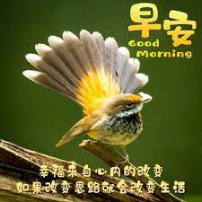 pin by 貴富on 早午晚安 good morning morning quotes meaningful quotes