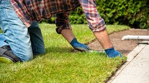 And are they worth it? Should You Hire A Lawn Service Or Diy Lawnstar