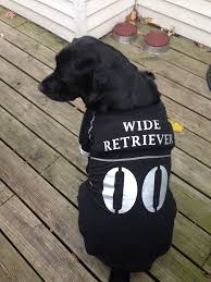 Ozzie Looking For The Trick Or Treaters Dog Halloween Costumes Puppy Halloween Costumes Dog Halloween