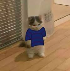 And this is why the jack manifold. Thecatlord Thecatlord0817 Profile Pinterest