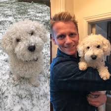 'vet in the hill' cast dr. Scott Miller V Twitter Our Beautiful Fluff Ball Skully Goes Under The Knife At The Hands Of Her Vet Daddy On This Weeks Vetonthehill 9pm Wednesday On More4 4viewers Channel4 More4tweets Dog