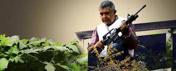 General Vivas against Oblivion