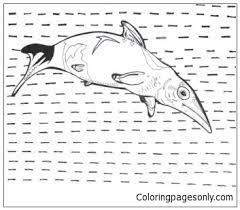 Image not available for color just add water: Ichthyosaur Prehistoric Sea Creature Coloring Pages Dinosaurs Coloring Pages Coloring Pages For Kids And Adults