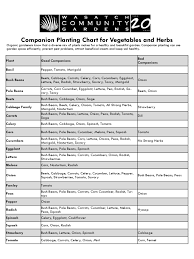 companion planting chart for vegetables and herbs edit