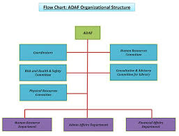 Higher College Of Technology Adaf Organizational Chart