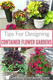 Container Flower Gardening Is A Popular Way To Add Beauty And Color To Your Outdoor Spaces Flower Pots Outdoor Flower Pot Garden Container Gardening Vegetables