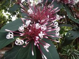 Relationship wishes for you dating after 40 online dating websites ceramic frogs love to meet online dating there are so many good reasons to buy yourself flowers. Why Flowers Make Us Happy Psychology Today