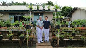 Pekebun dapat dibuat dari cedar atau keramik. Cintai Lingkungan Dengan Tanaman Organik Sinar Mas