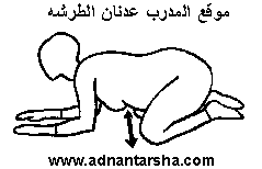 أعراض الحمل في الشهر الخامس. Ø§Ù„Ø±ÙŠØ§Ø¶Ø© ÙˆØ§Ù„Ø­Ù…Ù„ ØªÙ…Ø§Ø±ÙŠÙ† Ù„Ù„Ø­Ø§Ù…Ù„ Ø¨Ø§Ù„ØµÙˆØ± Ø¹Ø§Ù„Ù… Ø­ÙˆØ§Ø¡