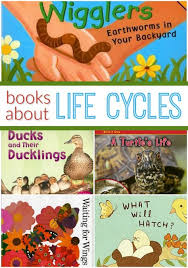 Animal Life Cycle Books Pre K Pages Life Cycle Books Life Cycles Animal Life Cycles