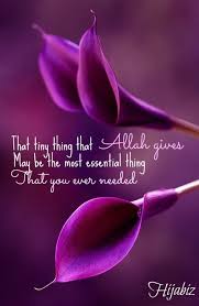 Islamic Quotes Purple Calla Lilies Purple Flowers Purple Color