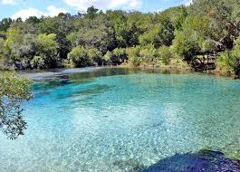 Access 18 trusted reviews, 1 photos & 7 tips from fellow rvers. Our National Forests Must Be Protected From Lawless Logging Earthjustice