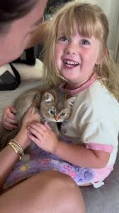 We’ve waited so long for you, cheeto 🧡 thank you for completing our family  🥲 #fyp #viral #catsoftiktok #kittensoftiktok #familypet #mom #momsoftiktok  #momlife #dollfacepersian #persiancat