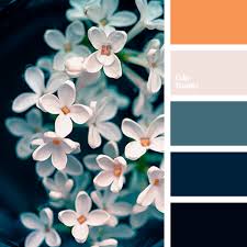 Color Palette 3901 Orange Color Palettes Color Palette Pink Black Color Palette