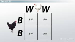 .you make regular punnett squares, you just know that the heterogeneous offspring differ from both the offspring that received two recessive and two dominant answered 4 years ago · author has 11.2k answers and 15.6m answer views. Intermediate Inheritance Definition Example Video Lesson Transcript Study Com